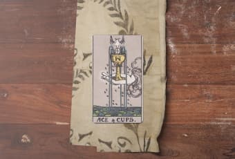 Ace of Cups: Khởi Đầu Cảm Xúc Thuần Khiết Và Nguồn Cảm Hứng Vô Tận