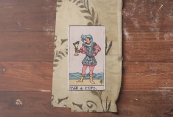 Page of Cups: Sứ Giả Của Cảm Xúc Mới Và Sự Sáng Tạo Bất Tận