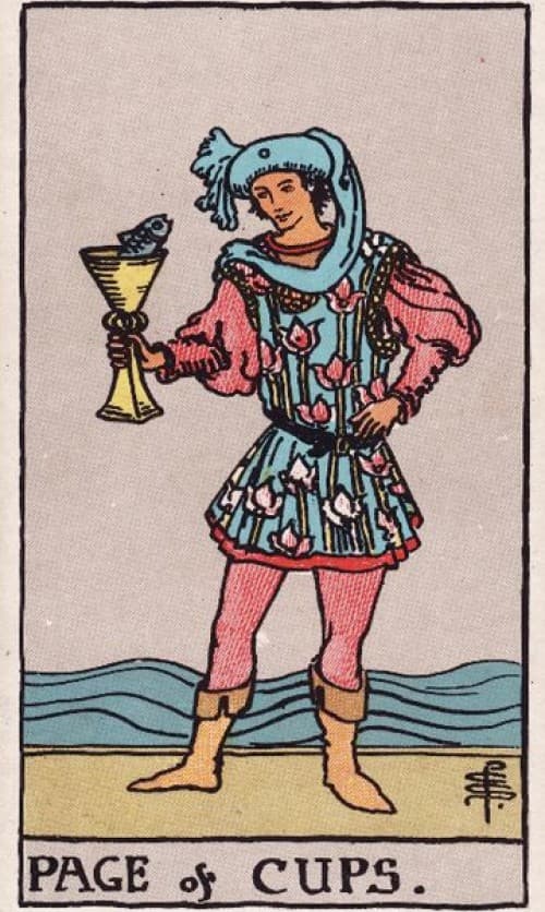 Page of Cups