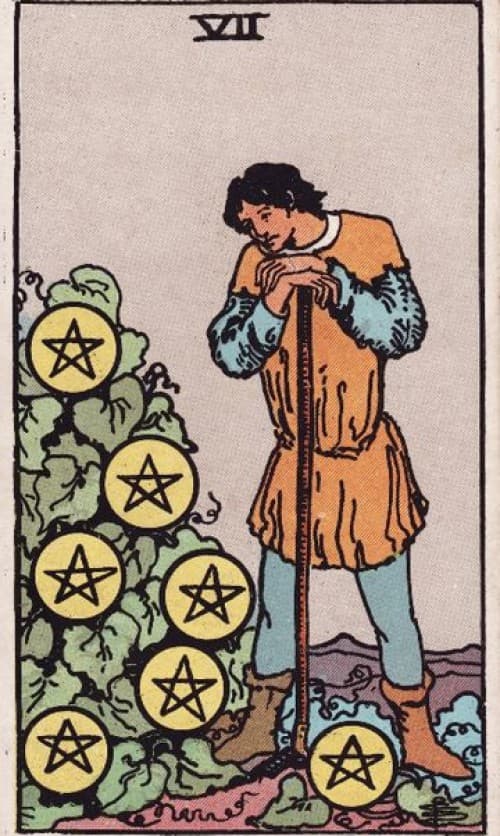 Seven of Pentacles