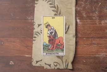 Lá Bài Strength (Sức Mạnh): Bản Lĩnh Từ Sự Dịu Dàng Và Kiên Nhẫn